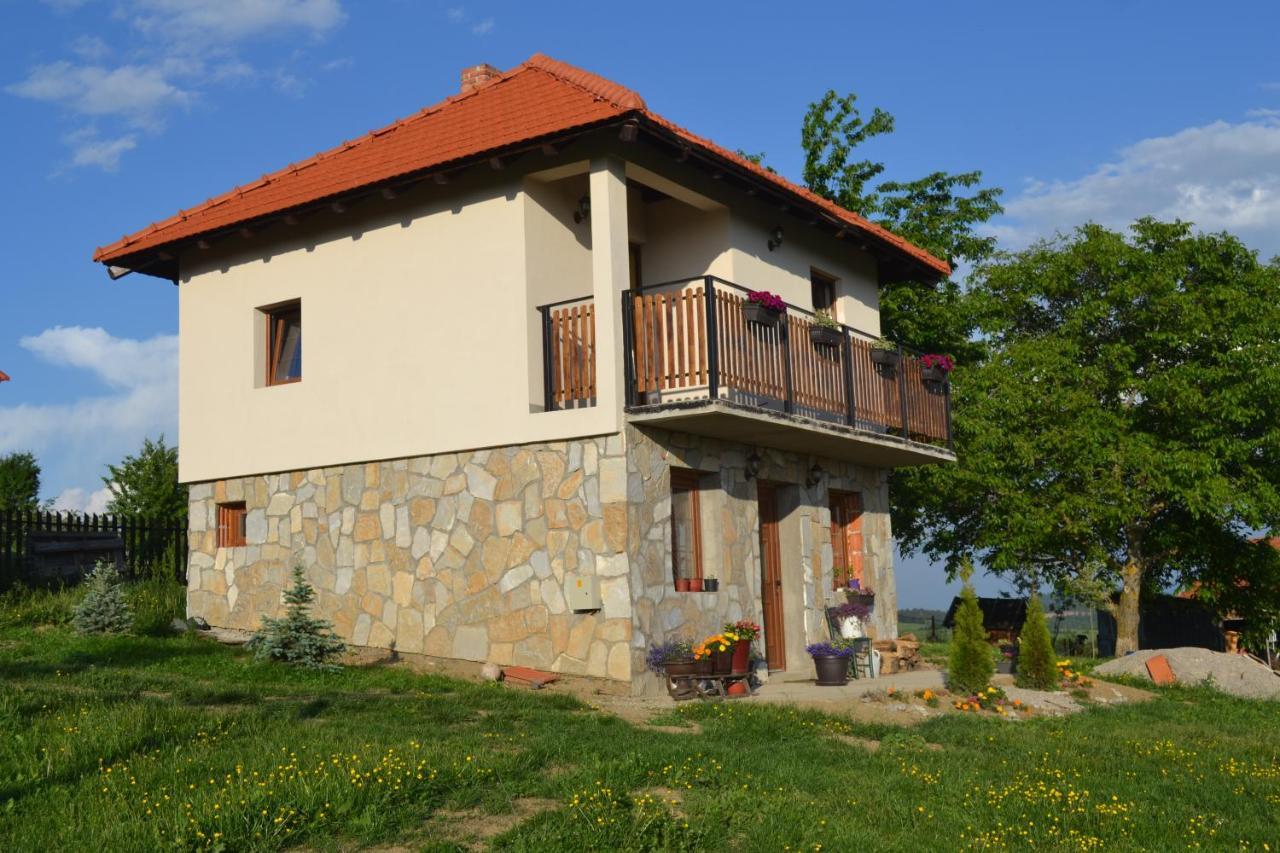 Zlatibor Cottages מראה חיצוני תמונה